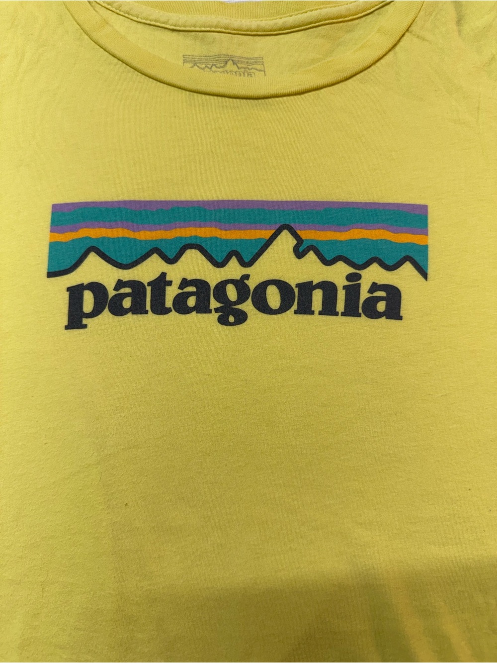 Patagonia Women’s Yellow Tee with Multicolor Mountain Logo